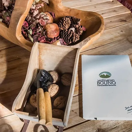 μαγεμένο βουνό Pensjonat 4*