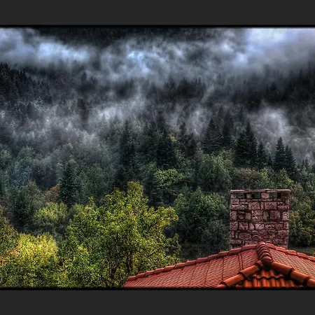 Πανσιόν μαγεμένο βουνό