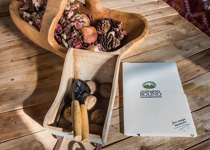 μαγεμένο βουνό Gasthof 4*